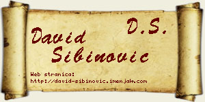 David Sibinović vizit kartica